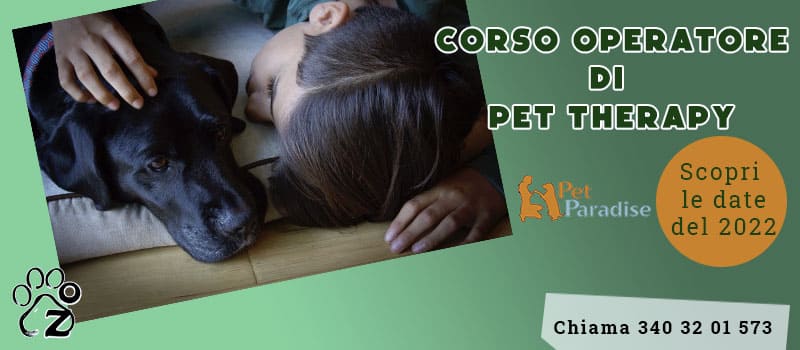 banner pet therapy 2022